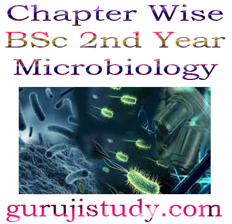 Chapter Wise BSc 2nd Year Microbiology Notes Study Material